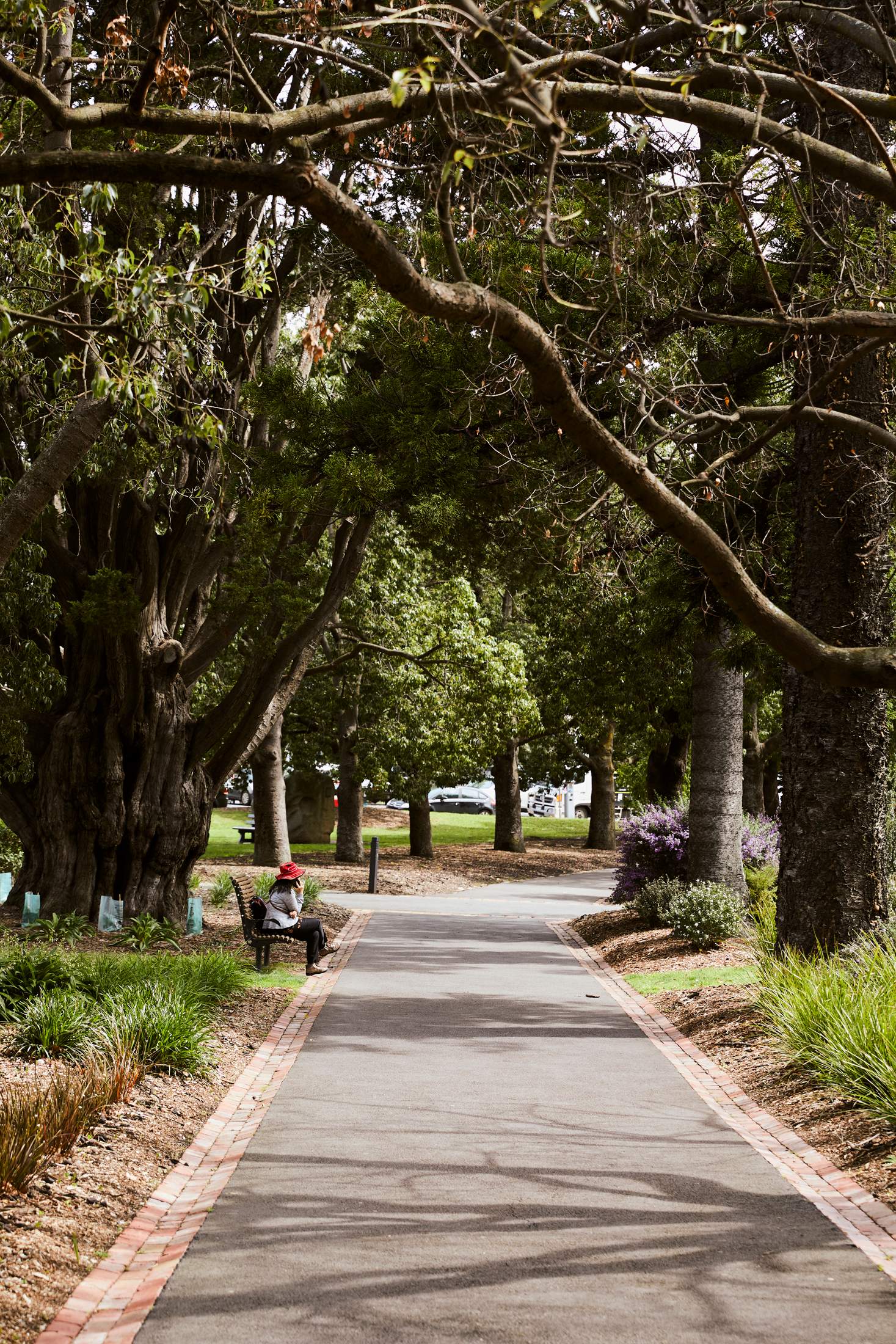 monocle_geelonglibraryandsurrounds_0031.jpg