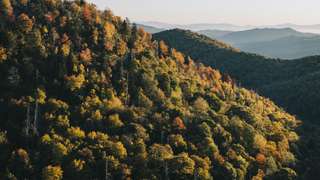 The Monocle Weekender: Asheville edition