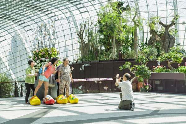 Gardens by the Bay, Singapore