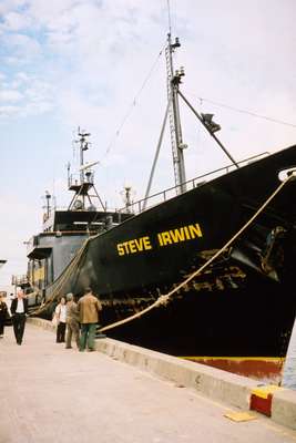 Steve Irwin Sea Shepherd, used for  Antarctic anti-whaling campaigns
