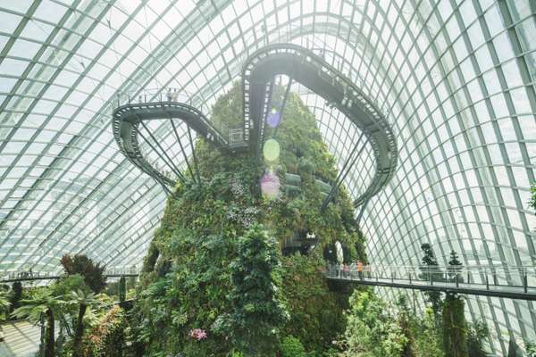 Gardens by the Bay, Singapore