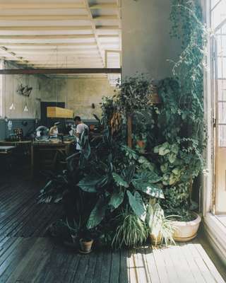 Plants soften the workshop's industrial fixtures