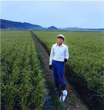 Rice farmer on Tanegashima
