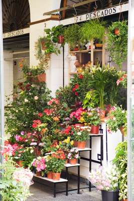 Florist in Mercado Feria