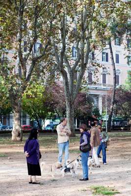 Dog-walkers in the park at Piazza Vittorio