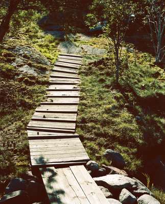 The path to the jetty 