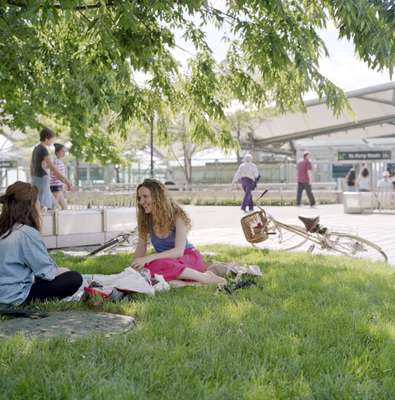 Relaxing on the grass next to the World Financial Center ferry