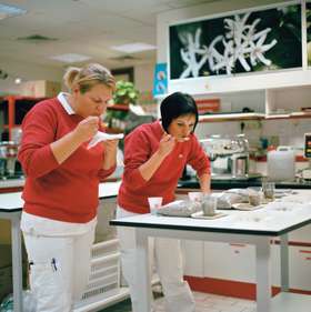 Coffee sommeliers at work tasting samples