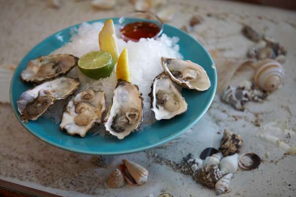 Oysters at Simonis