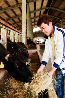 Omi beef farmer Yukio Kinoshita 