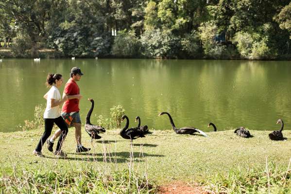 Ibirapuera Park, São Paulo