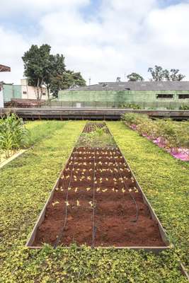 Planted beds within the square