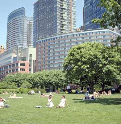 Green fields at Battery Park City