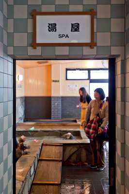 Dogs bathing in hot spring water 