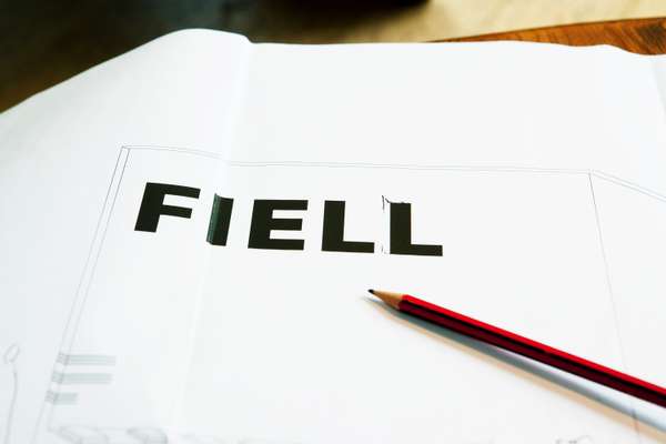 The Fiell brand identity