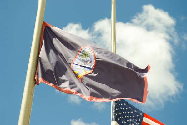 Coconut tree and beach on Guam’s flag