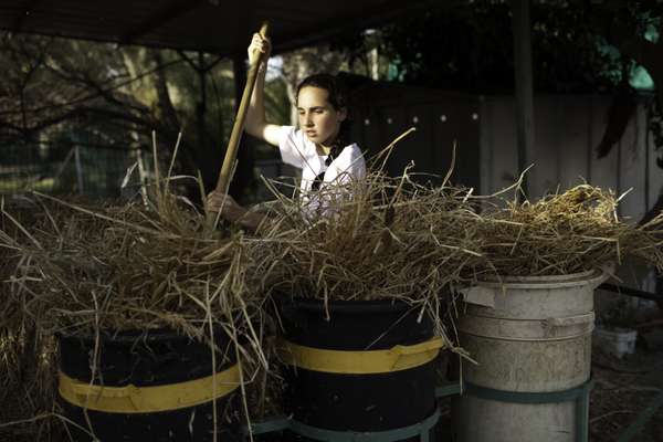 A girl works in the stables at Ma’agan Michael, Israel’s largest kibbutz on the foothills of the town Zichron Ya’akov
