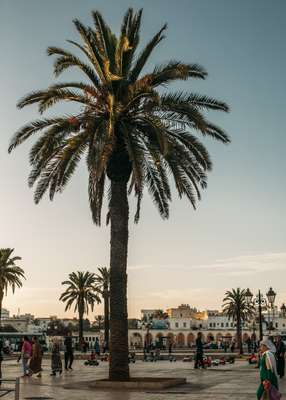 Evening in Kasbah Oudayas Medina