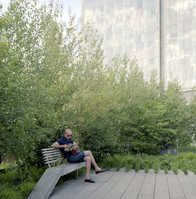 Sitting on the High Line