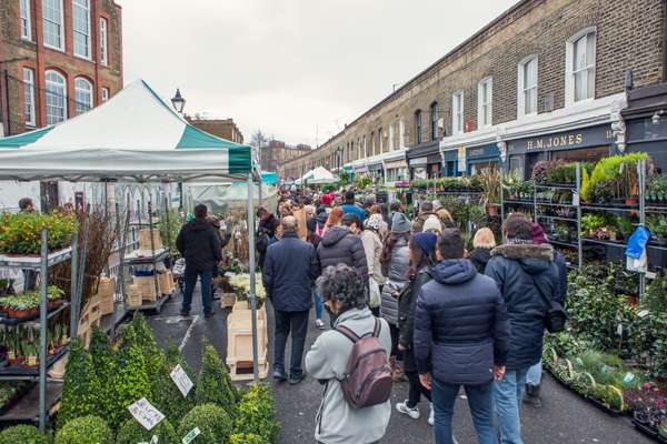 Flower stalls line the street on Sundays