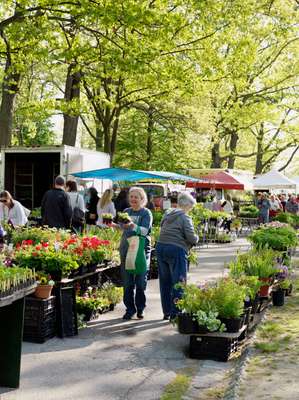 Portland farmer’s market at Deering Oaks Park 