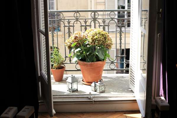 Plants on chef Christophe Pelé’s apartment balcony