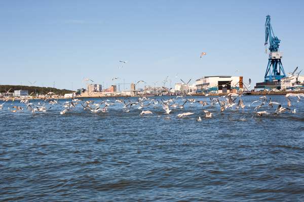 Aarhus has Denmark’s busiest container port