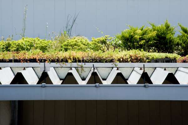 Roof garden experiment on the Nihon Chiko factory