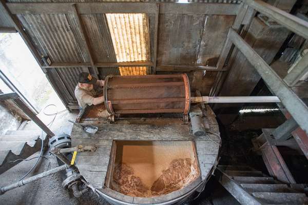 Raw cider is collected in a tank in the mill house