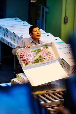 Auctioneer selling flowers