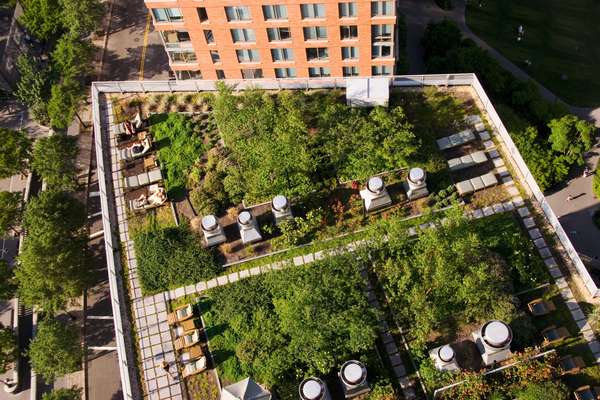 The tenants' garden on the roof of Solaire