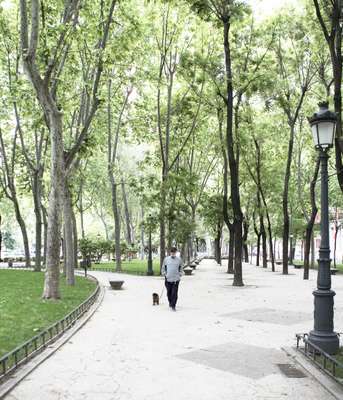 The Paseo del Prado