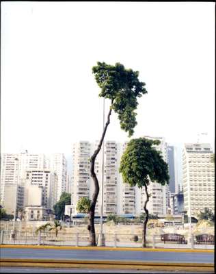 Apartment blocks in Caracas