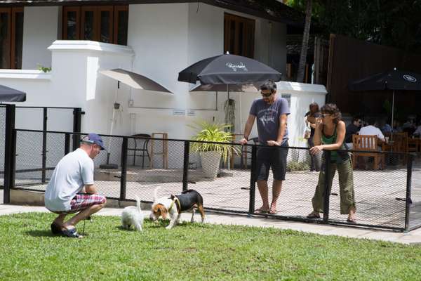 Central Bark, where dogs can run free