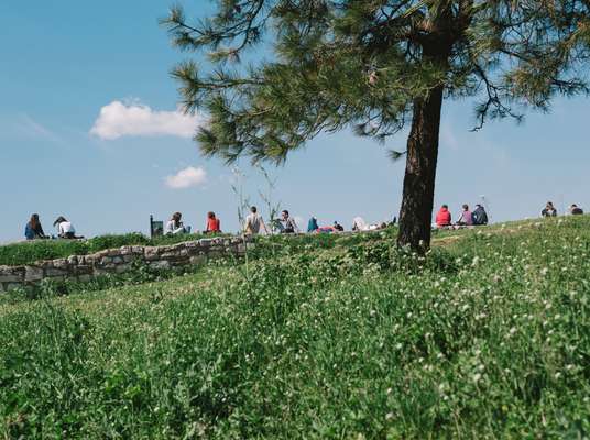 A comfortable perch at Kalemegdan Fortress