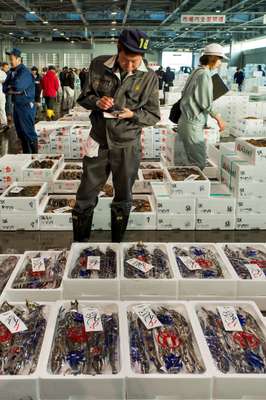 Sapporo Central Wholesale Market