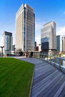 Marunouchi and Shin Marunouchi Buildings