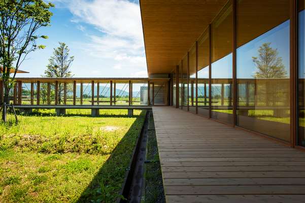 Sun-drenched terraces 