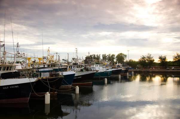 Darwin’s prawn and pearling fleet 