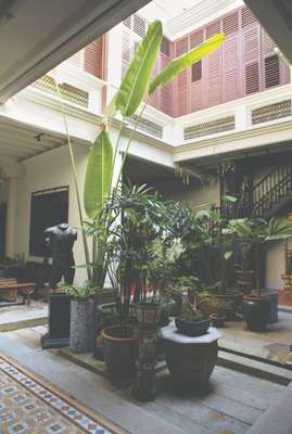 Leafy courtyard of a traditional house
