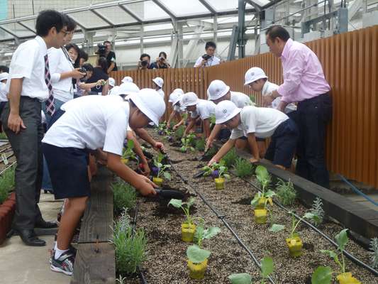 Ginza Honey Bee Project