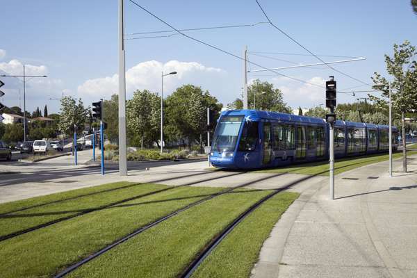 Trams with different colours for each line