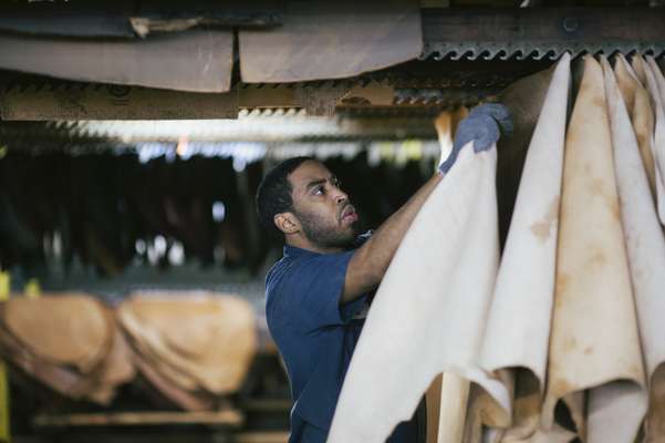 Employee hanging leather