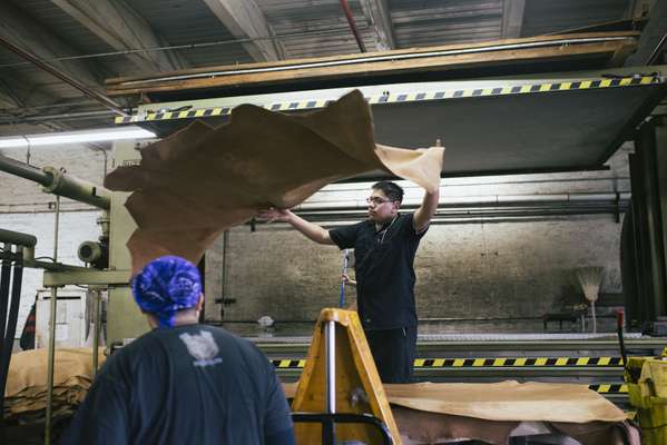 Workers sort dried hides 