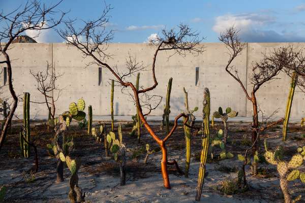 Garden and wall on the way to the villas 