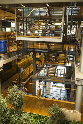 Stairs and greenery between office levels 