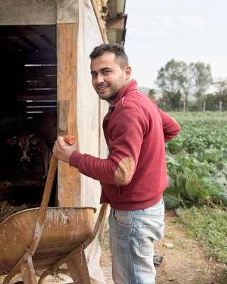 Staff farmer attending to livestock