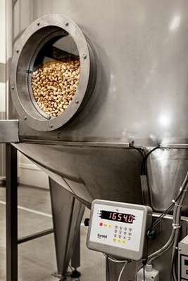 Nuts are held in a ‘buffer silo’