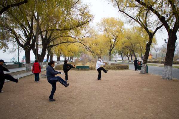 Morning tai chi in Stalin Park