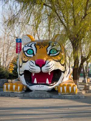 Sculpture outside the Northeast Siberian Tiger Sanctuary